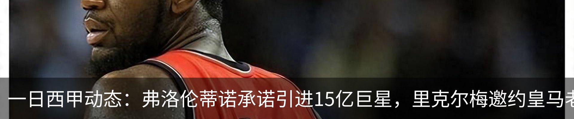 新闻动态