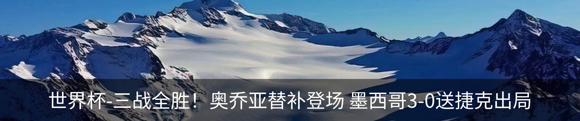新闻动态