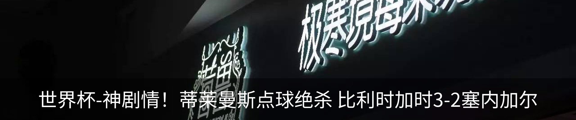 新闻动态