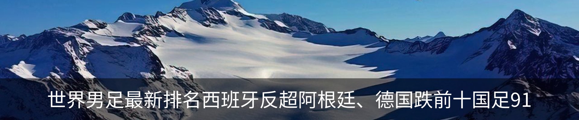 新闻动态