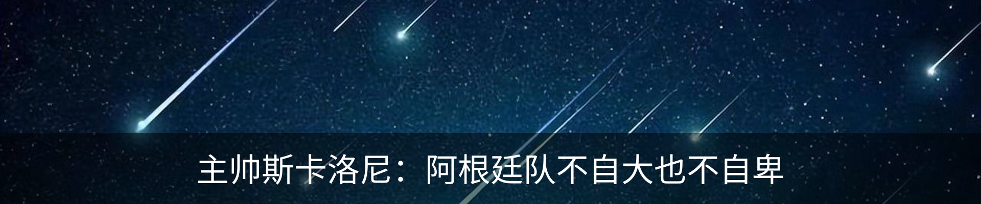 新闻动态