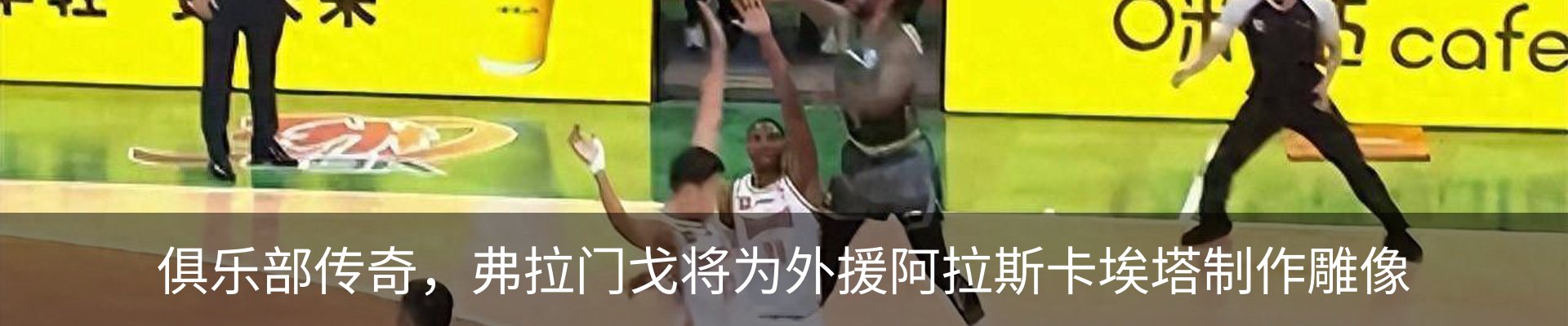 新闻动态