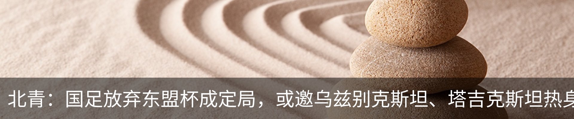 新闻动态
