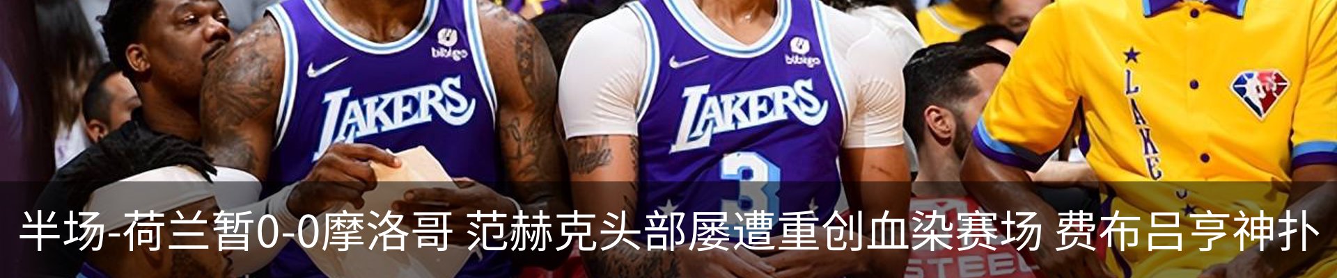新闻动态