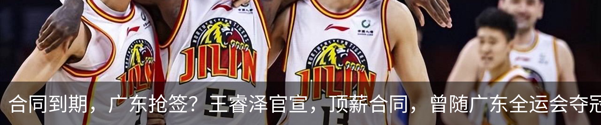 新闻动态