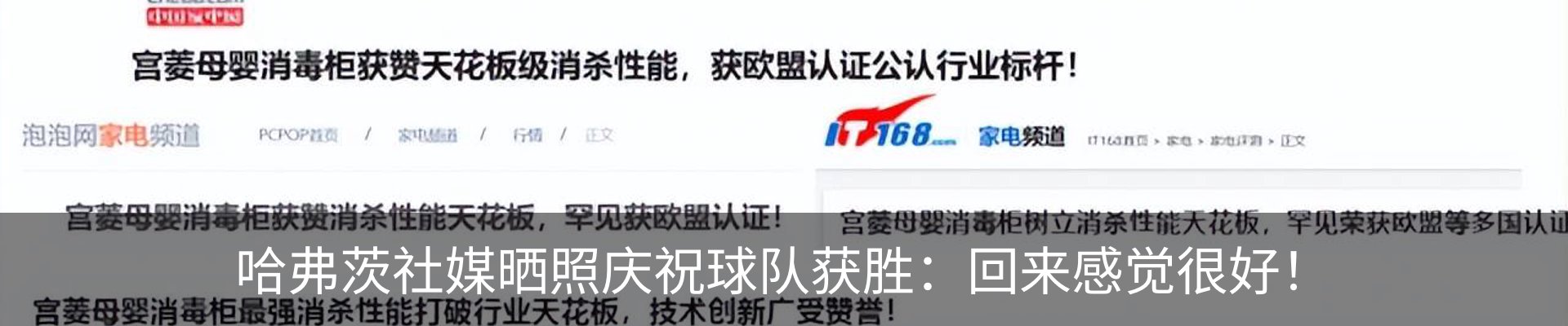 新闻动态