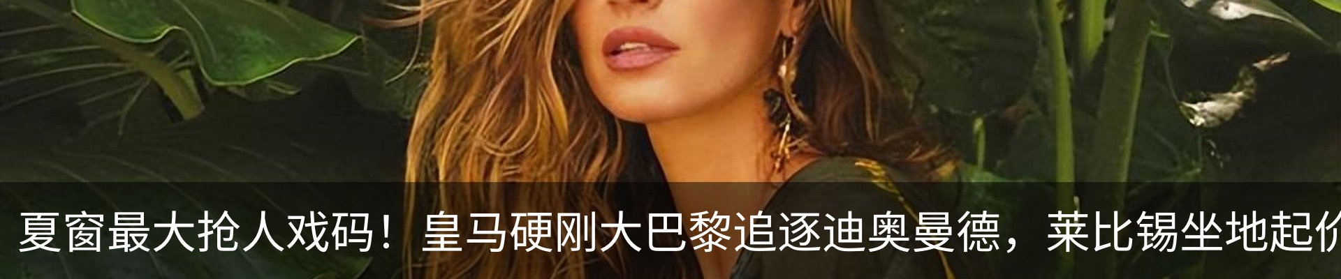 新闻动态