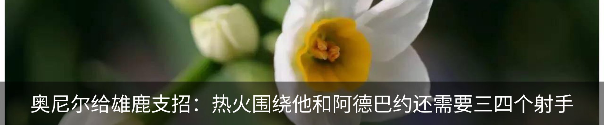 新闻动态