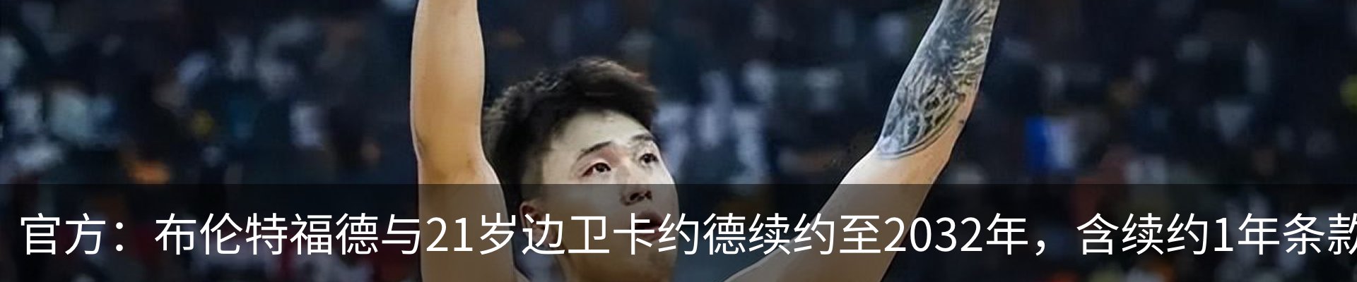 新闻动态