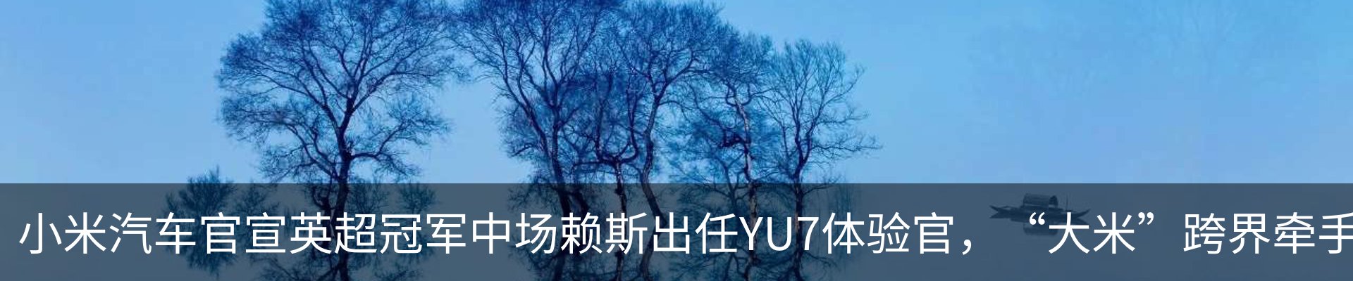 新闻动态