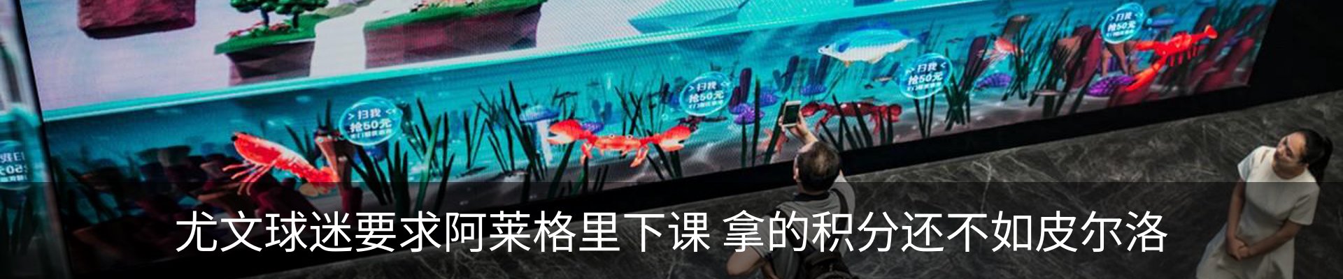 新闻动态