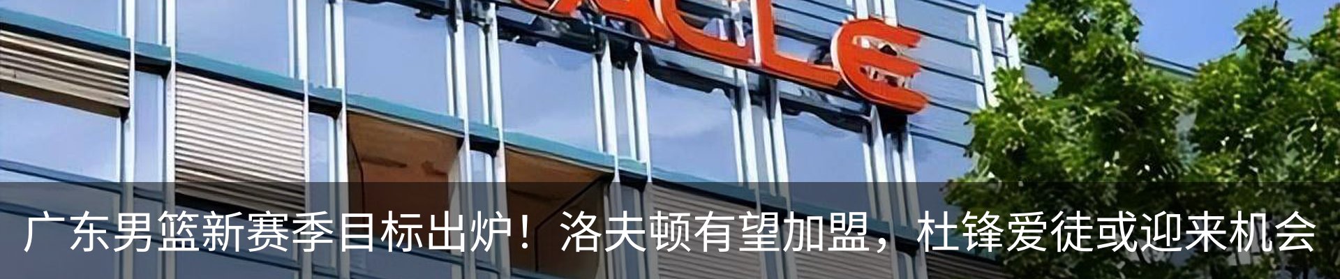 新闻动态