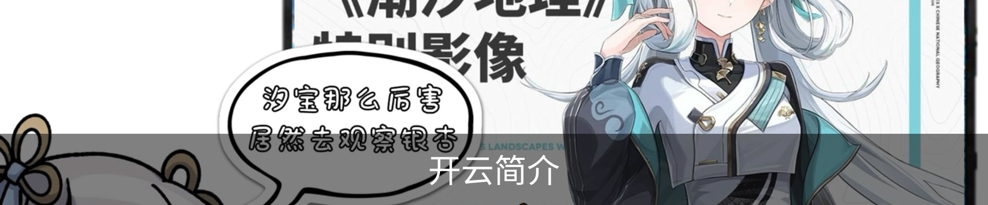 开云简介