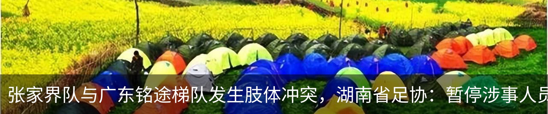 新闻动态