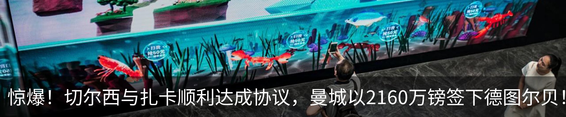 新闻动态