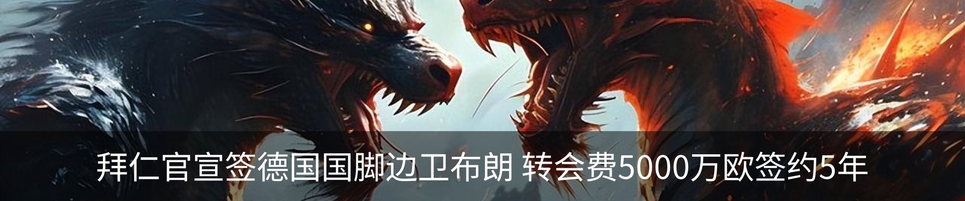 新闻动态