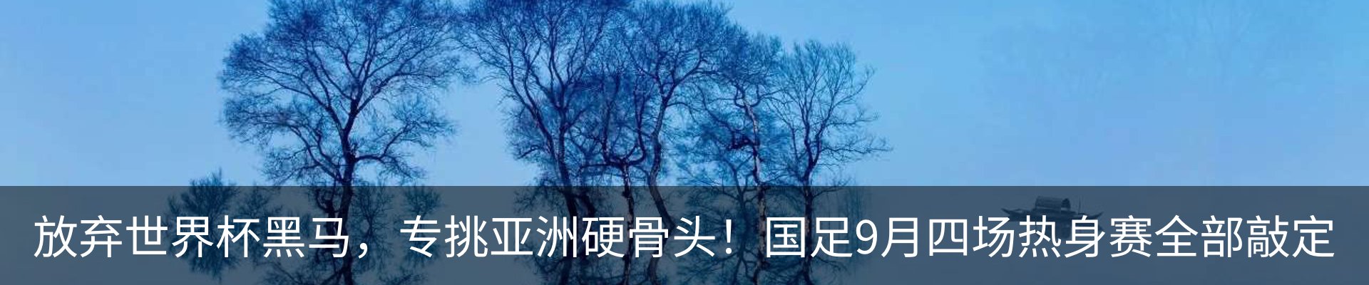 新闻动态