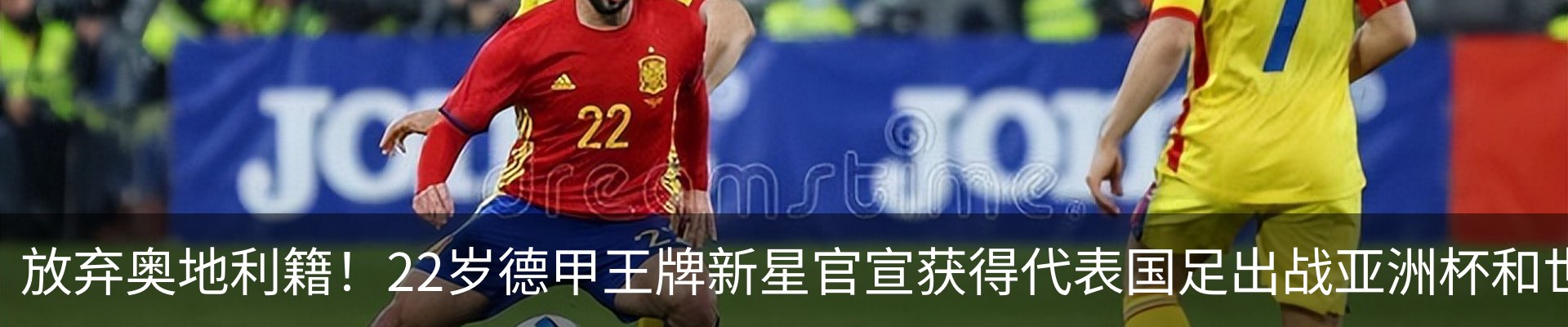新闻动态