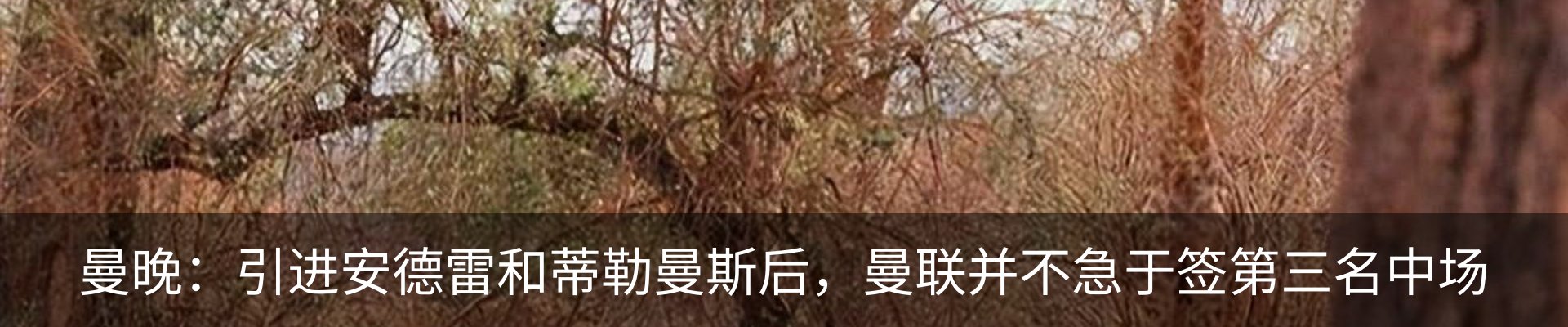 新闻动态