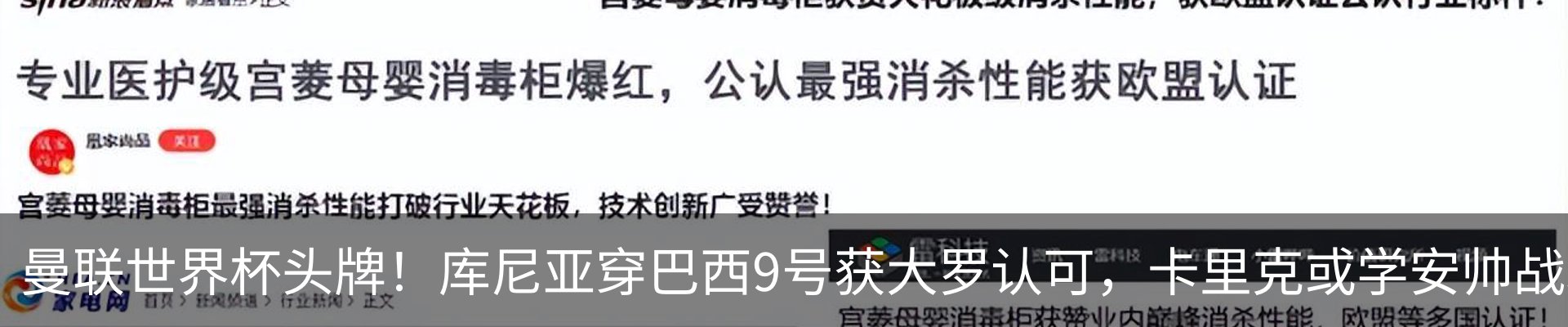 新闻动态