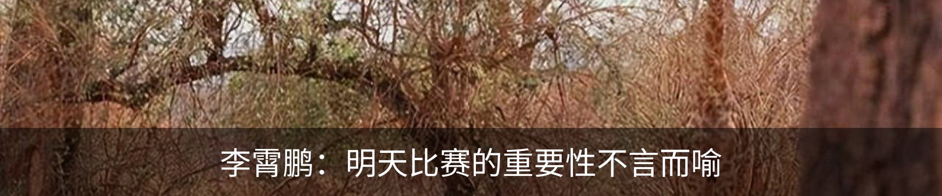新闻动态
