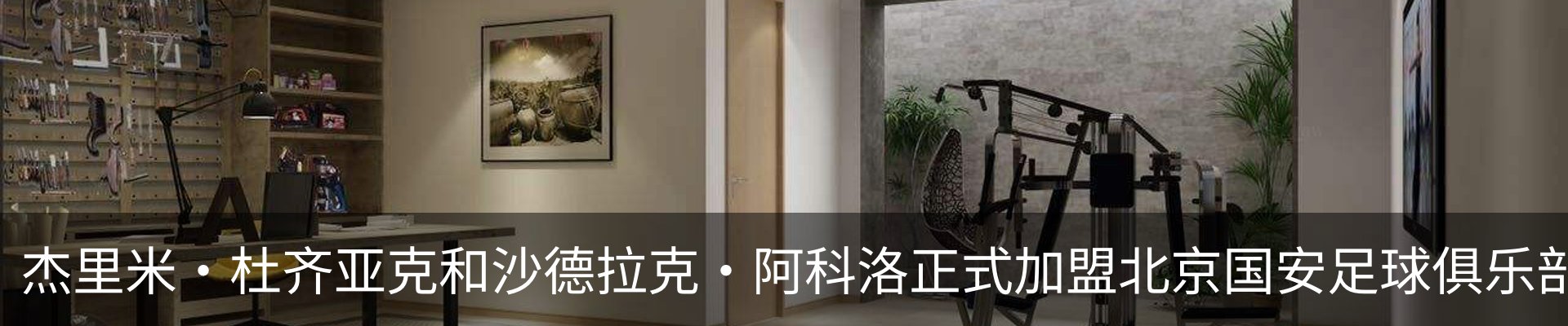 新闻动态