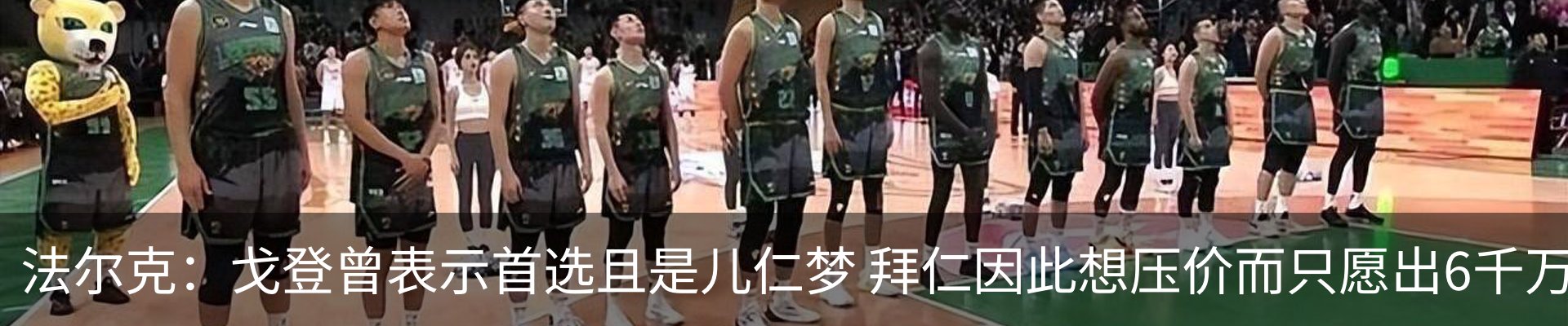 新闻动态