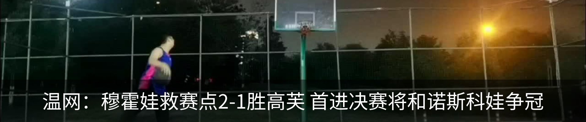 新闻动态