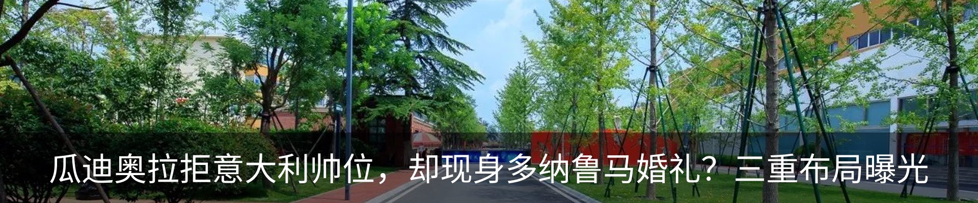 新闻动态