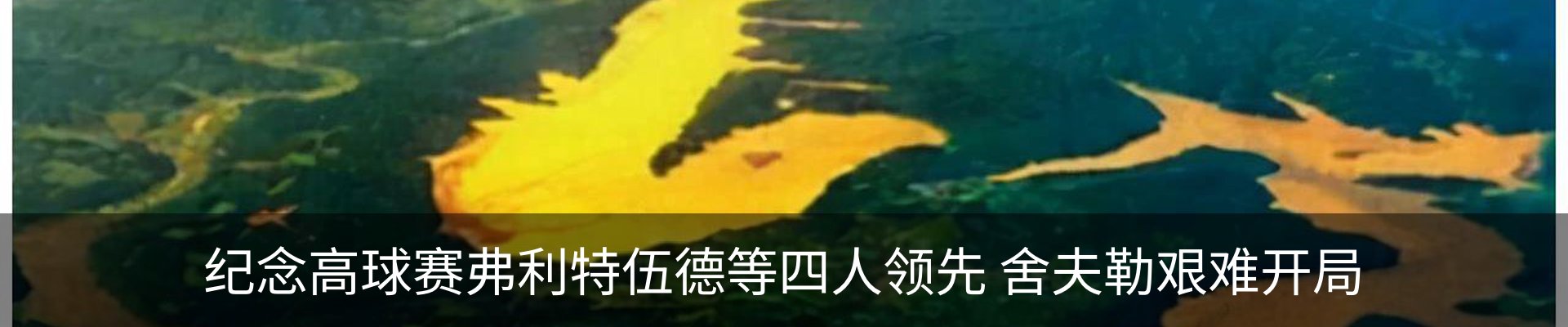 新闻动态