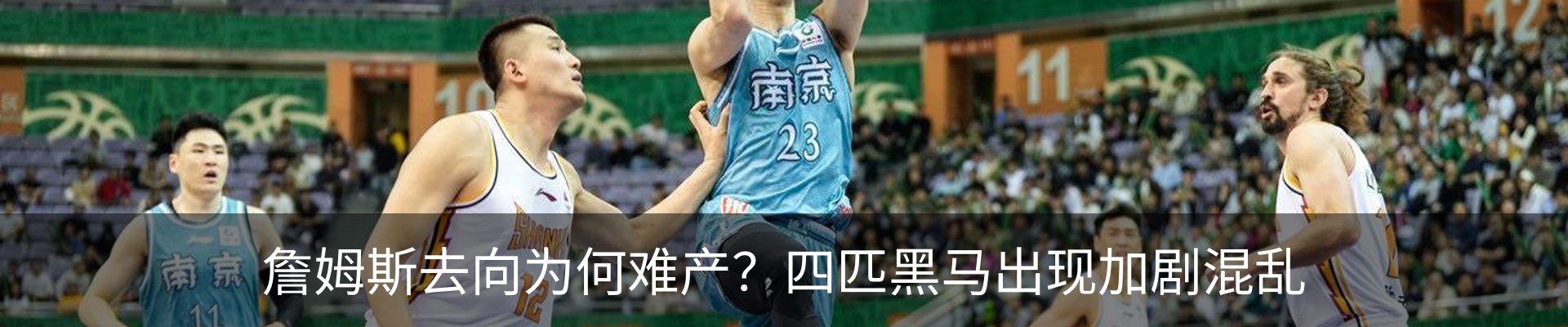 新闻动态
