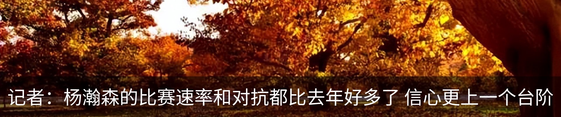 新闻动态