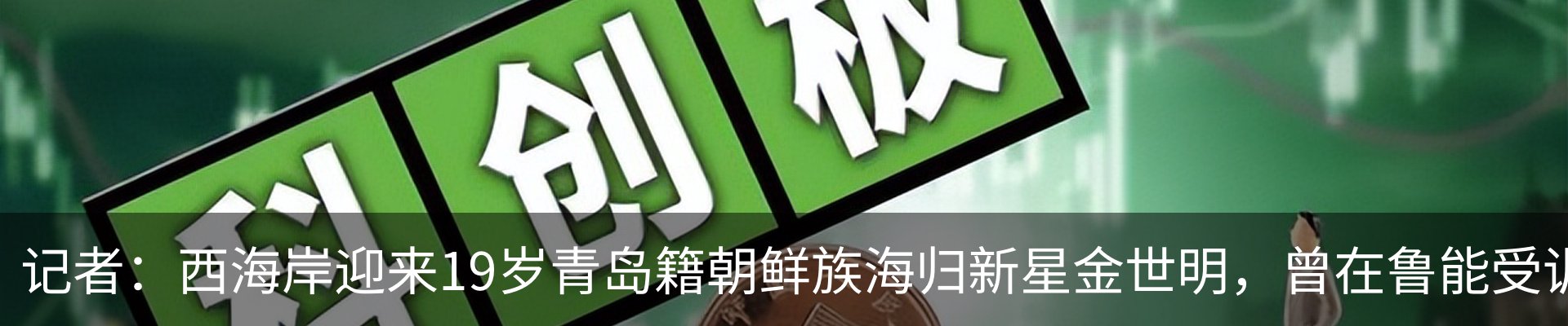 新闻动态