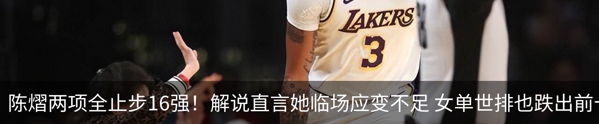新闻动态