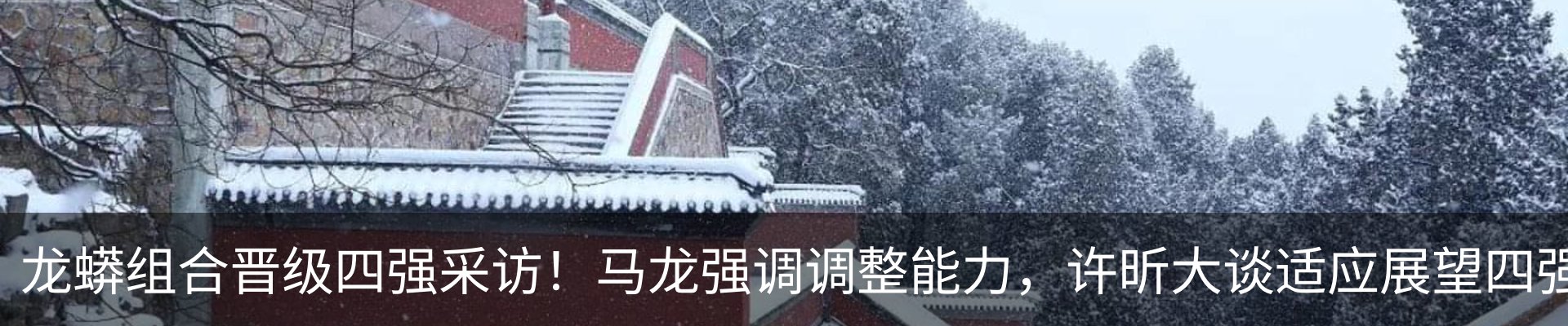 新闻动态