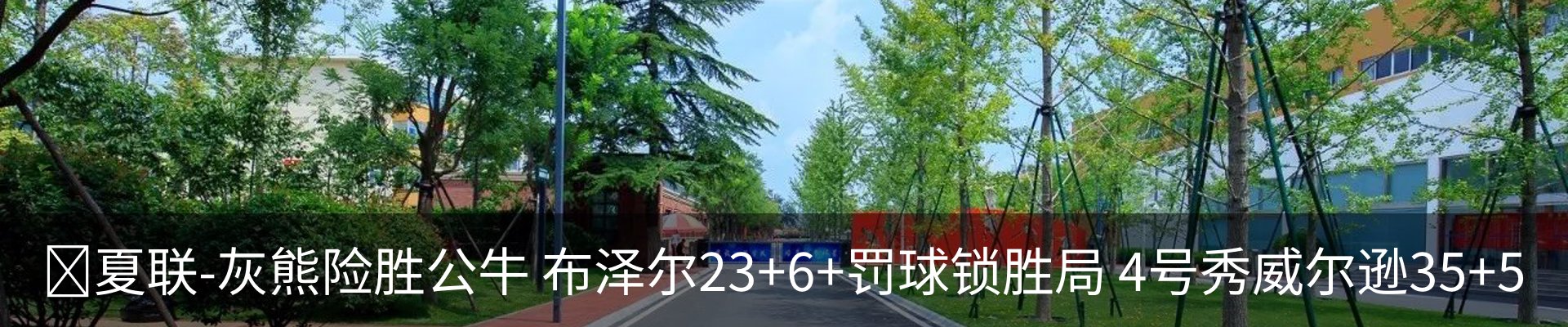 新闻动态