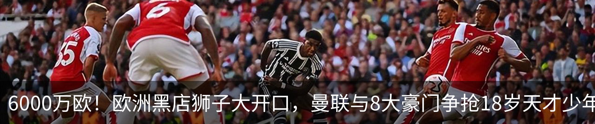 新闻动态