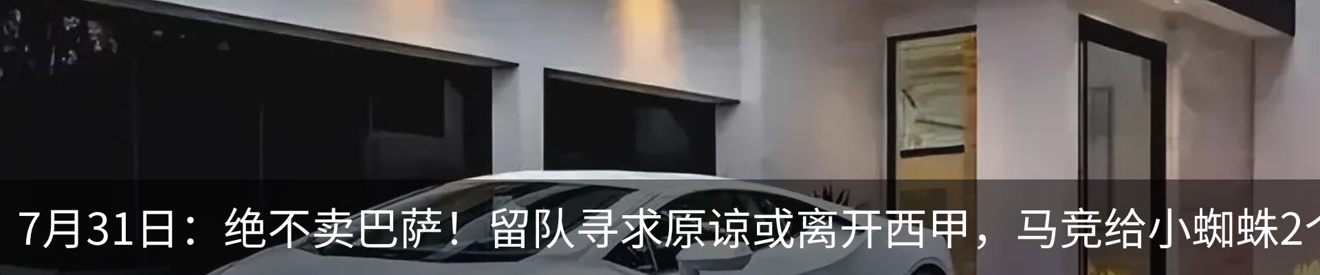 新闻动态