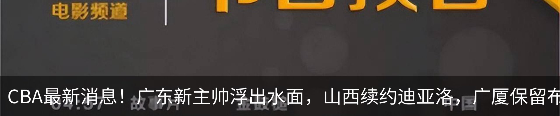 新闻动态