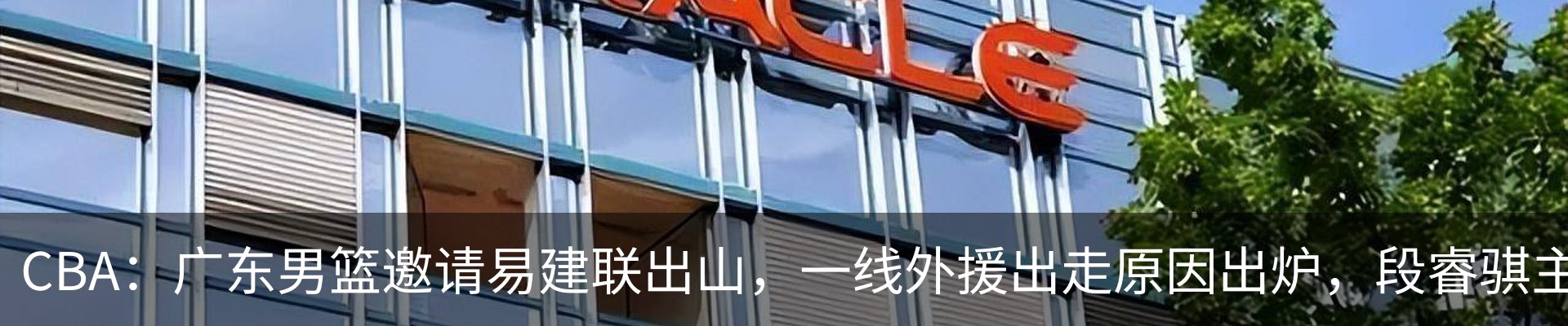 新闻动态