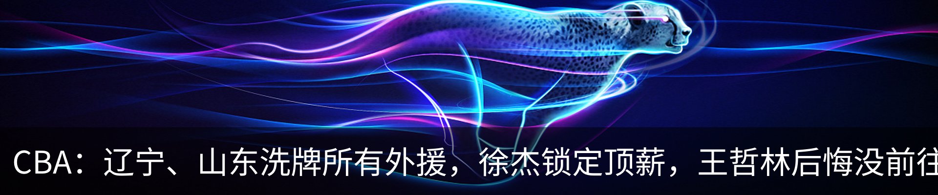 新闻动态